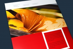 Design af logo og visuel identitet. Trykkeri. Brochure - Dantryk