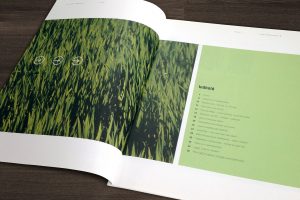 Institut for Miljøvurdering – design, layout og produktion af årsberetninger
