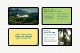 PowerPoint template skabt for IDna til Tradin Organics