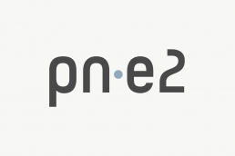 Logo design og visuel identitet - pne2