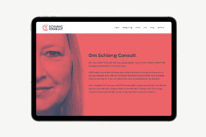 Design til hjemmeside - Schiang Consult